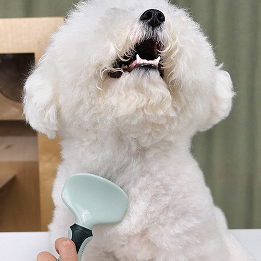 トリミングセット