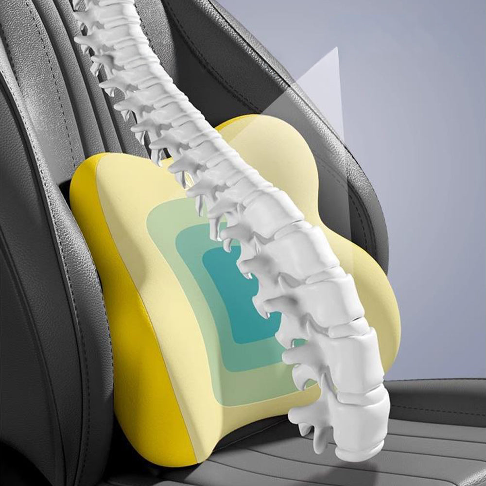 ネックピロー&ランバーサポート